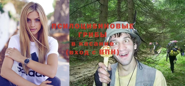 прущая мука Алзамай