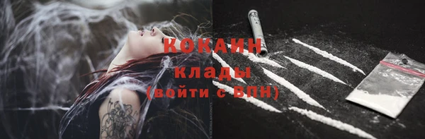 индика Алексеевка