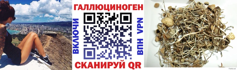 где купить   Боготол  Галлюциногенные грибы ЛСД 
